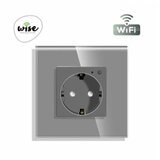WIFI pametna uticnica, ugradna, stakleni panel sivi, 16A WU0004 | ePonuda.com