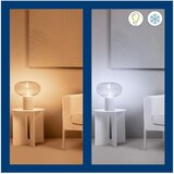 Wiz Sa žarnom niti pametne žarulje u setu 2 kom E27, 7 W – | shoptok.hr