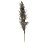 Atmosphera Ukrasna grana Pampas, 110 cm, Smeđa Cijene