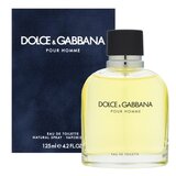 Dolce & Gabbana Pour Homme Toaletna voda za moške 125 ml | Shoptok.si