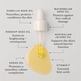 Alpha-H Golden Haze olje za obraz 25 ml | Shoptok.si