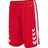 Hmlcore Xk Basket Shorts 211465-3062
