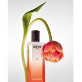 Loewe Solo Ella Elixir parfum za ženske 100 ml | Shoptok.si
