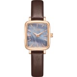  ROČNA URA LEE COOPER LC08151.552 | Shoptok.si