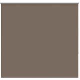 Rolo zavjesa za zamračivanje boje kave 150x175 cm Širina tkanine 146,6 cm Poliester | shoptok.hr