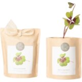 Life in a bag Grow Bag "Detelja za srečo" - 1 k. Cene