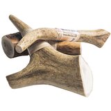 WolfPack rogovje jelena - različne velikosti xl (zelo veliko) | Shoptok.si