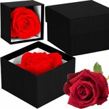 springos DARILNA ŠKATLA VEČNA VRTNICA VALENTINOVO RDEČA ZA ROJSTNE DNEVE DAN ŽENA, (21630255) | Shoptok.si