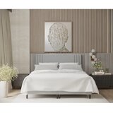 Maison de Rêve Sivi tapecirani bračni krevet s prostorom za odlaganje 200x200 cm Musca – | shoptok.hr