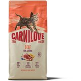 Carnilove Cat True Fresh Kitten, briketi - govedina 6 kg Cene