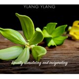 Friendly Soap Natural Soap Ylang Ylang naravno milo 7x95 g | Shoptok.si