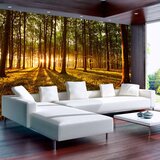  Samoljepljiva foto tapeta - Summer: Morning in the forest 245x175 Cijene