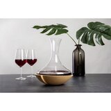 VACUVIN decanter -76010602 Cene