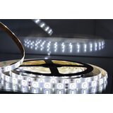 Mitea Lighting MLD-2835-60 6500K (dnevna svetlost) led traka 5m 12V 4,8W 60 LED/1m IP65 Cene