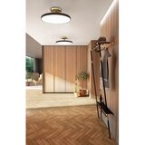 UMAGE Antracitno siva LED stropna svjetiljka ø 60 cm Asteria Up – | shoptok.hr