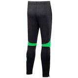 Nike Pro Pant Youth Crna | shoptok.hr