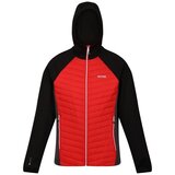 Regatta Hybridjacke Andreson Vii sarena Cijene