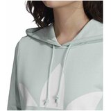 Adidas D Originals Trefoil Zelena | shoptok.hr