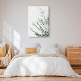  Slika - Eucalyptus Parvifolia (1 Part) Vertical 20x30 | shoptok.hr