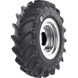Ascenso 16,9-30 8PR 137A8 TDB120 - Skladišče 8 (Dostava 1 delovni dan) | Shoptok.si