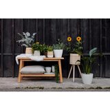 Zandiara Okrasni Lonček Naturelle | Shoptok.si