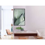  Poster - Young Leaf of Agave 20x30 | shoptok.hr