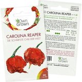 Own Grown Semena čilija "Carolina Reaper | Shoptok.si