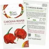 Own Grown Semena čilija "Carolina Reaper