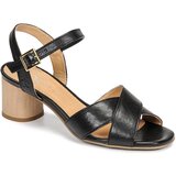 Dream in Green Sandali & Odprti čevlji ODAINE Črna | Shoptok.si