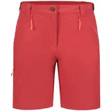 Icepeak Sportske hlače 'BEAUFORT' tamno crvena