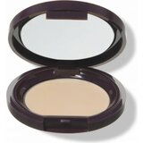 100% Pure Fruit Pigmented Long Last Concealer with Super Fruits - Alpine Rose (light & rose) Cene