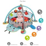 Kikka Boo KikkaBoo Podloga za igru sa 30 loptica Ladybug (KKB102360 | ePonuda.com