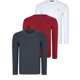 Dewberry TRIPLE SET T8587 V-NECK MEN'S SWEATSHIRT-WHITE-ANTHRACITE-BURGUNDY Cijene