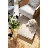 Printworks Foto album A Dog's Life – | Shoptok.si