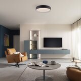 SCHÖNER WOHNEN 14594-18 - prigušiva LED stropna svetiljka TAVOLI LED/20W/230V crna+daljinski upravljač | Eponuda.com