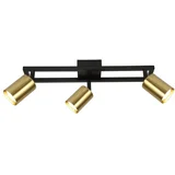 Plafonska lampa FG153-3 BK+SG