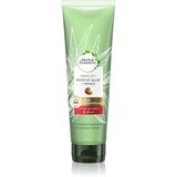 Herbal essences Bio Renew Real Botanicals balzam za oštećenu, lomljivu i slabu kosu Aloe & Mango 275 ml | shoptok.hr