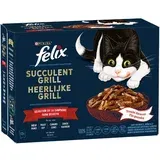 Felix Snižena cijena! 12 x 80 g "Tasty Shreds" vrećice - Raznolikost okusa sela (govedina, piletina, pačetina, puretina)
