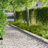  Ograda oko Travnjaka 20 kom. 102 x 15 x 4 cm Čelik Srebrna | shoptok.hr