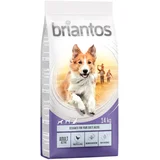 briantos Adult Active - 14 kg