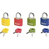 Concealed Padlock 30mm 9131EURDCOL