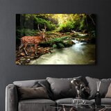 Wallity slika CAM-3019, 70x110cm Cene