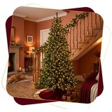  Zelena jelica 250 cm | shoptok.hr