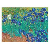  Puzzle Paperblanks Van Gogh`s Irises, 1000 kosov | Shoptok.si