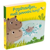 Epistola Založba Pozdravljen, mali povodni konj! Cene