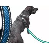 Led plavi povodac za pse 120 cm Cijene