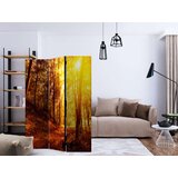  Paravan u 3 dijela - Autumn Walk [Room Dividers] 135x172 | shoptok.hr