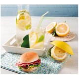 Plastična POSUDA ZA LIMUN LEMON KEEPER SNIPS | shoptok.hr