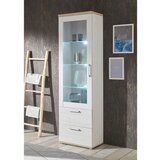 MID.YOU VITRINA, hrast san remo | Shoptok.si