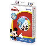 Disney lopta za more | shoptok.hr